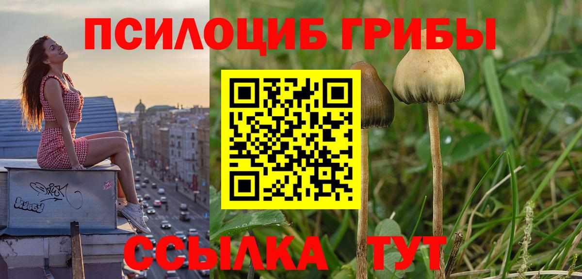 купить   Галлюциногенные грибы ЛСД  Вход с VPN  Апшеронск 